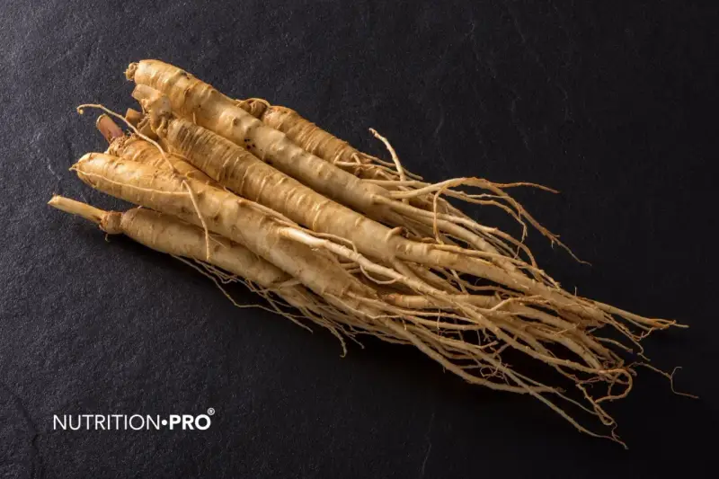 Radici di ginseng su sfondo scuro. Attenzione: il ginseng fa male al cuore se consumato in eccesso.