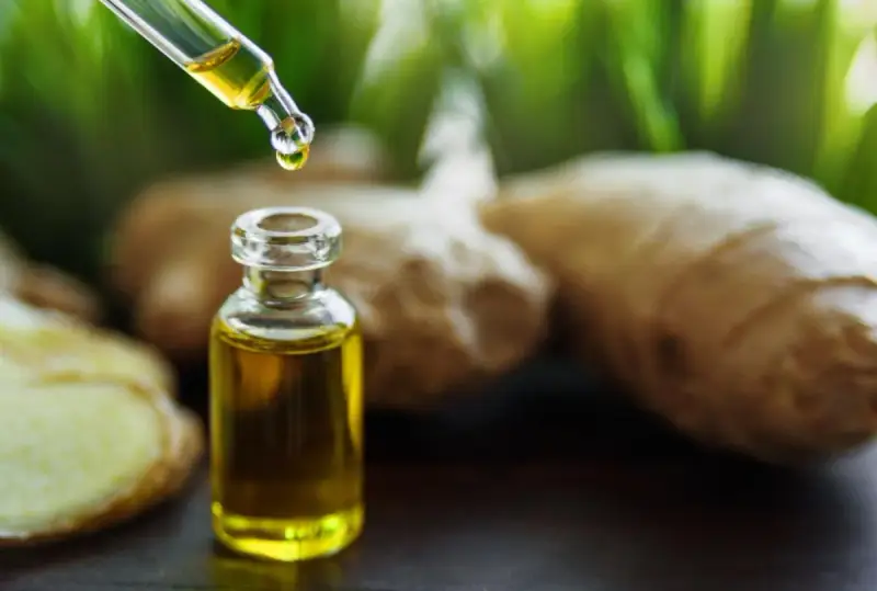 Goccia di olio essenziale zenzero cade da un contagocce in una bottiglietta. Radici di zenzero sullo sfondo.